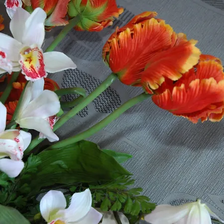 阿德里亚酒店 利尼亚诺萨比亚多罗