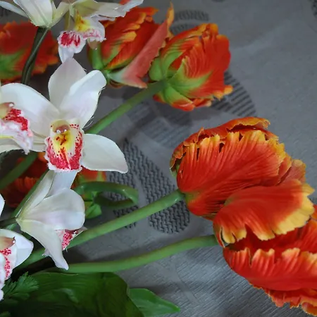 阿德里亚酒店 酒店 3*