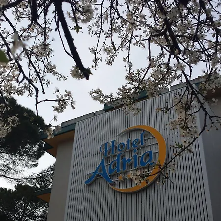 酒店 阿德里亚酒店 利尼亚诺萨比亚多罗