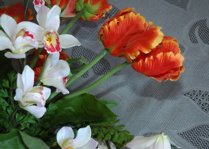 Adria Линьяно-Саббьядоро