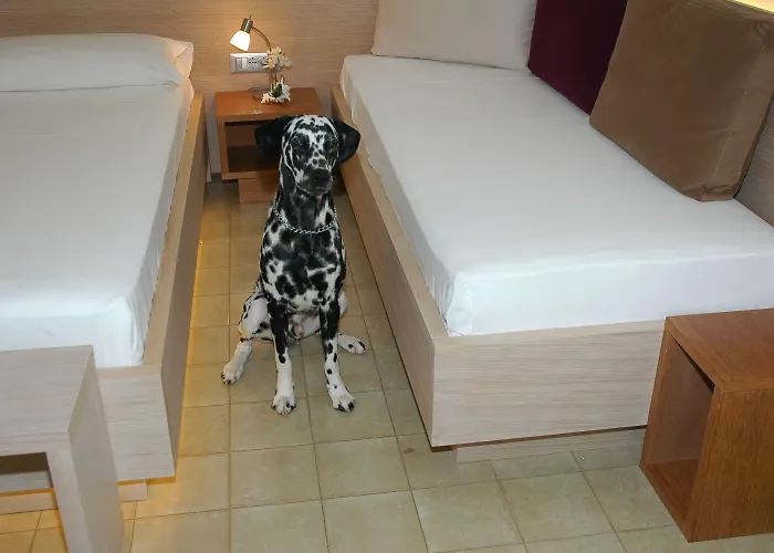 Hotel Adria Lignano Sabbiadoro